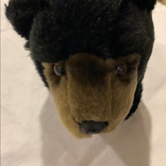 GANZ Webkins signature black bear plush - Picture 5 of 8